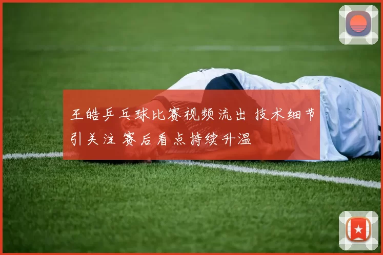 王皓乒乓球比赛视频流出 技术细节引关注 赛后看点持续升温