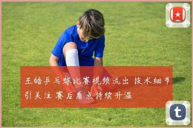 王皓乒乓球比赛视频流出 技术细节引关注 赛后看点持续升温