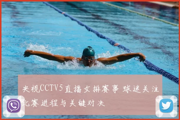 央视CCTV5直播女排赛事 球迷关注比赛进程与关键对决