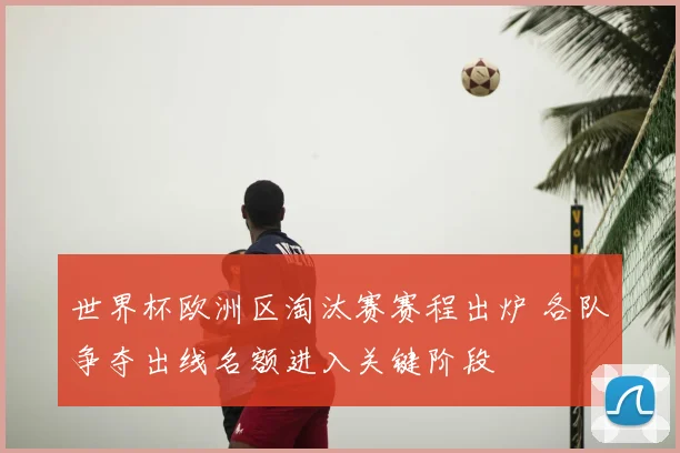 世界杯欧洲区淘汰赛赛程出炉 各队争夺出线名额进入关键阶段
