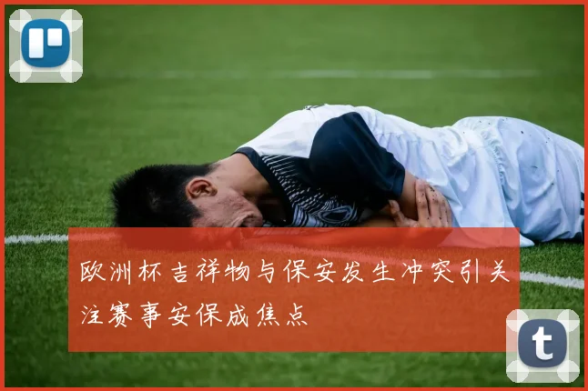 欧洲杯吉祥物与保安发生冲突引关注赛事安保成焦点