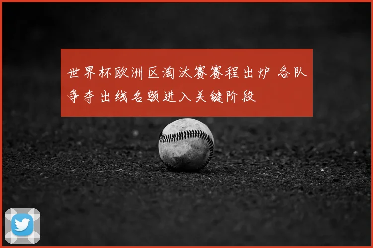 世界杯欧洲区淘汰赛赛程出炉 各队争夺出线名额进入关键阶段